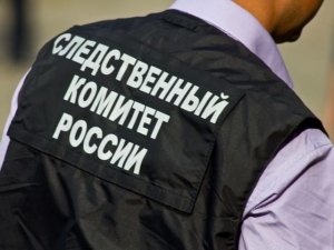 Председатель СК России затребовал доклад о расследовании противоправных действий приезжего в отношении малолетней девочки в Ленинградской области